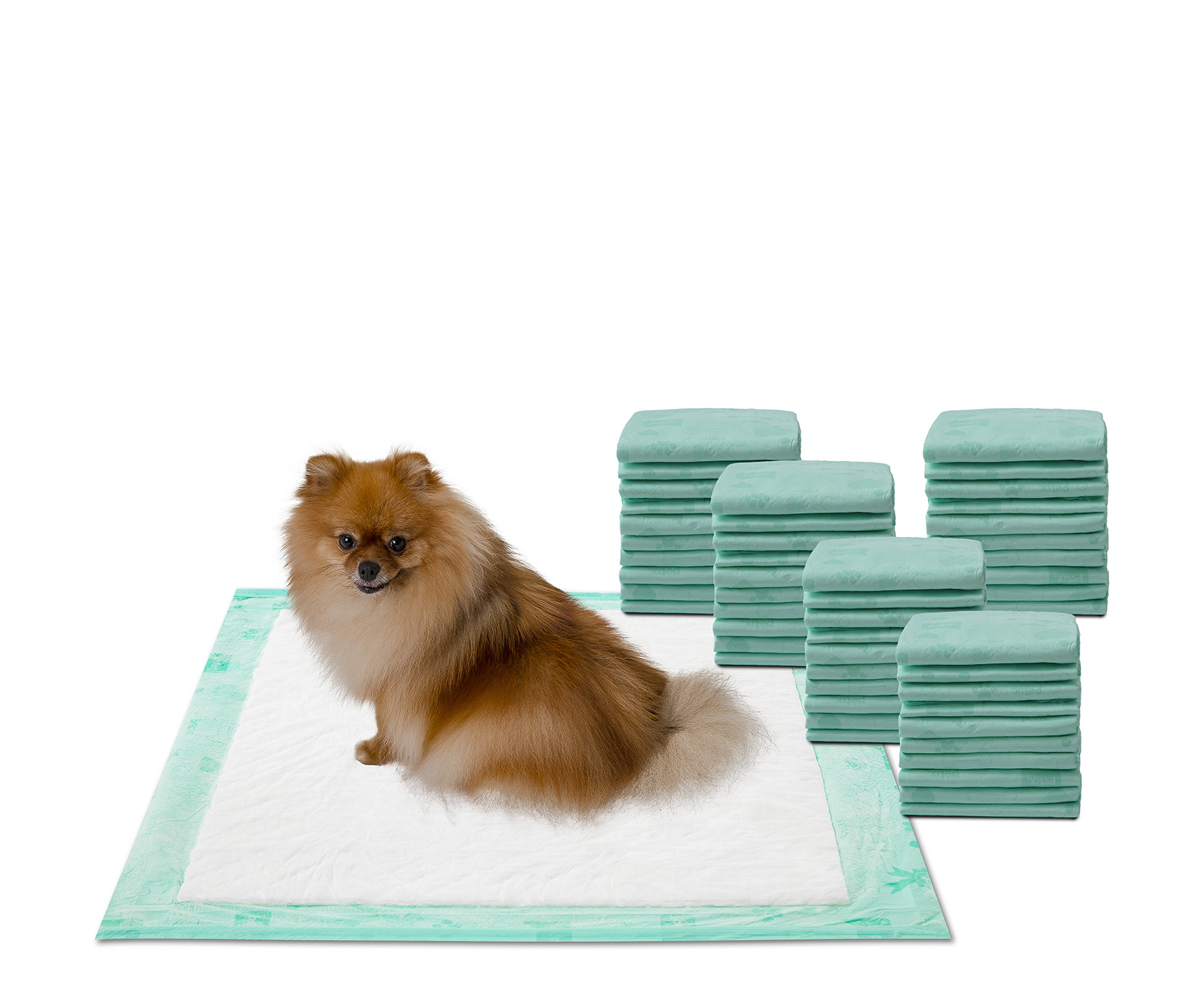 40 * 60cm 3 Dimensioni Riutilizzabile Impermeabile Puppy Dog Cat Pee Bed Pad Tappeto Lavabile Pet Trainging Pads Super Assorbente Dog Urina Mat Smandy Pet Pee Pad 